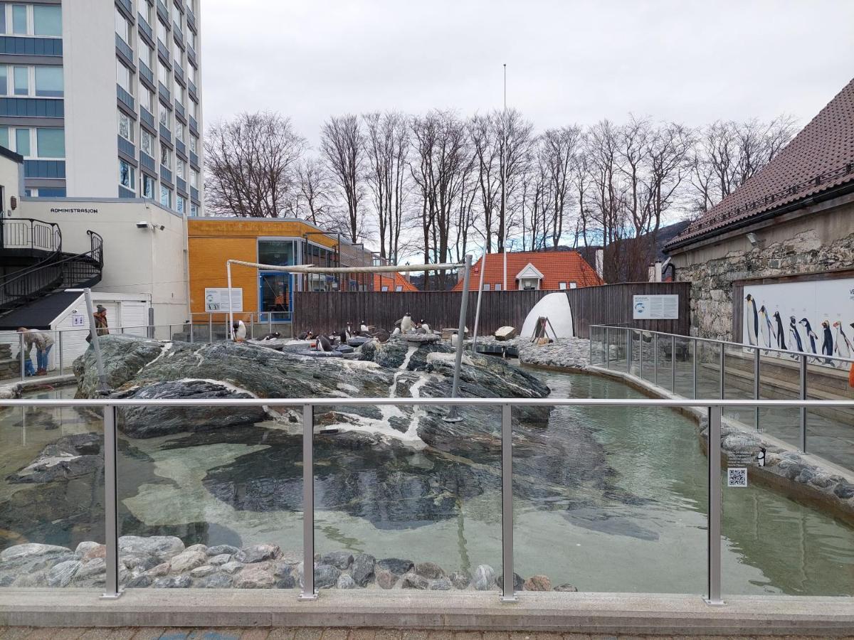 Bergen City Center Apartment 外观 照片